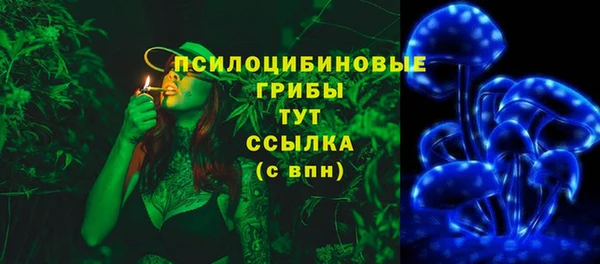 PSILOCYBIN Магадан