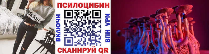 Галлюциногенные грибы Cubensis сайты даркнета формула Бердск цены наркотик